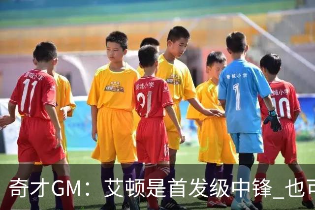 奇才GM：艾顿是首发级中锋 也可能是顶级替补选择